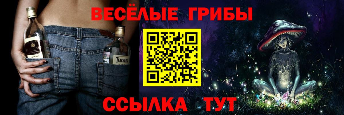 Ржев  Псилоцибиновые грибы MAGIC MUSHROOMS  Галлюциногенные грибы прущие грибы  Вход с VPN 