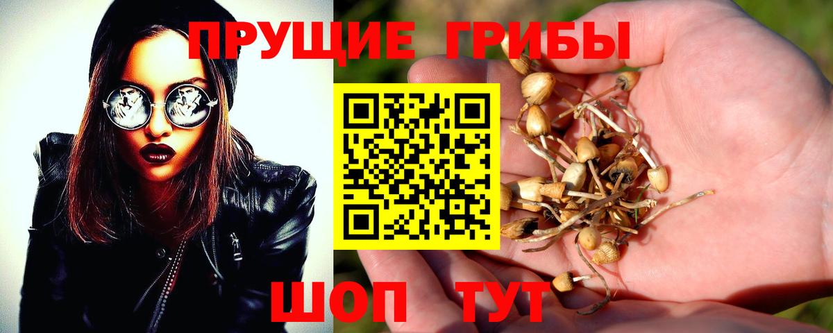 Галлюциногенные грибы ЛСД Ржев